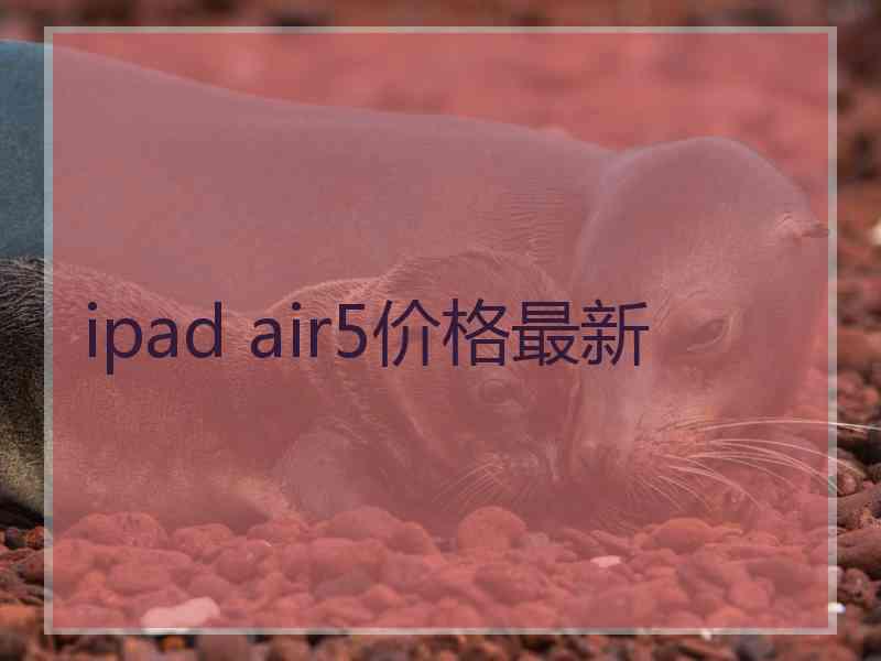 ipad air5价格最新