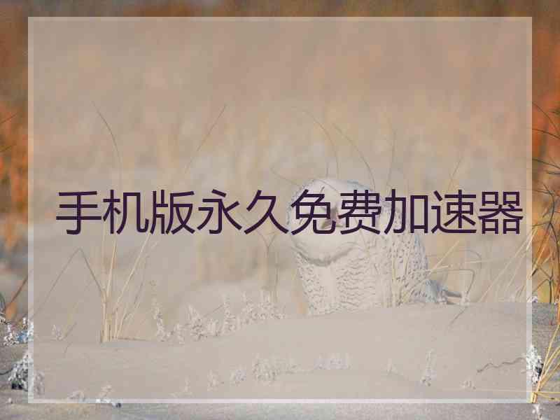 手机版永久免费加速器