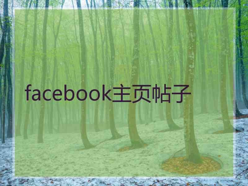 facebook主页帖子
