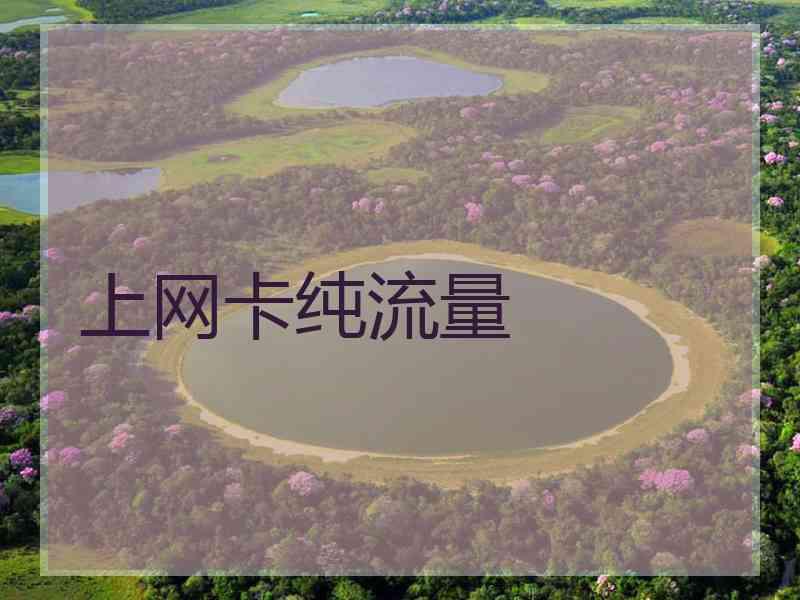 上网卡纯流量