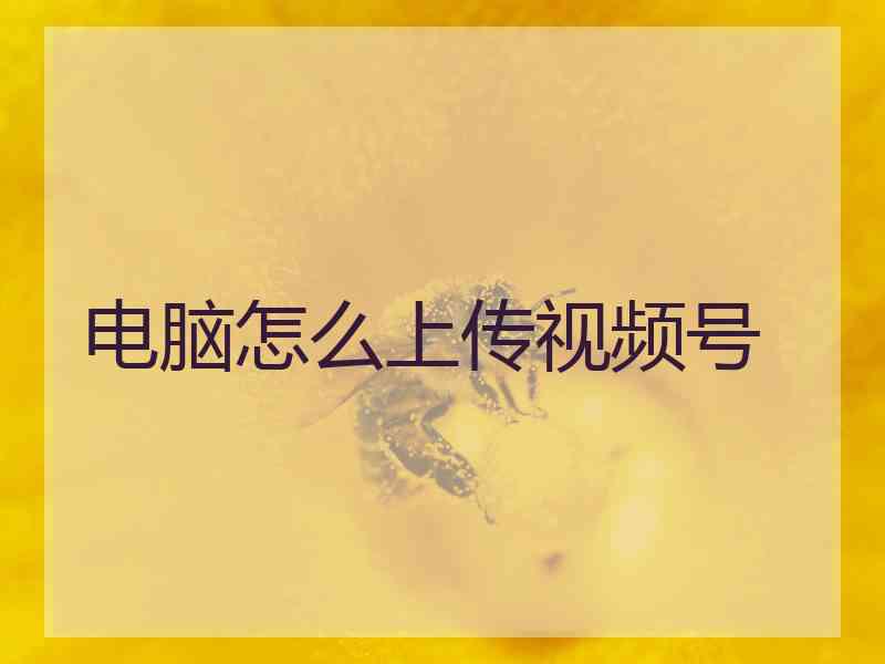 电脑怎么上传视频号