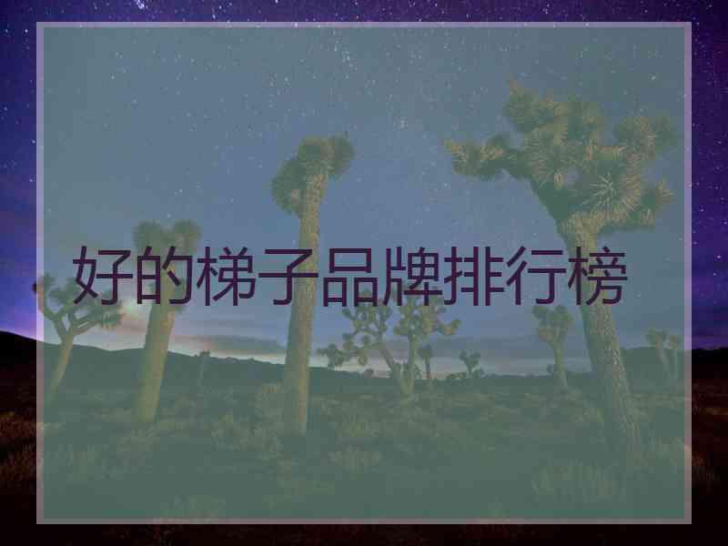 好的梯子品牌排行榜