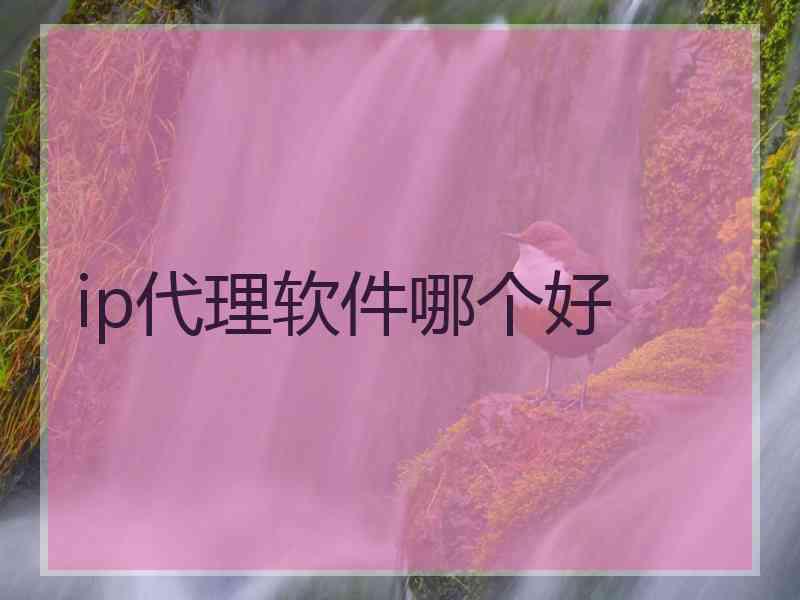 ip代理软件哪个好