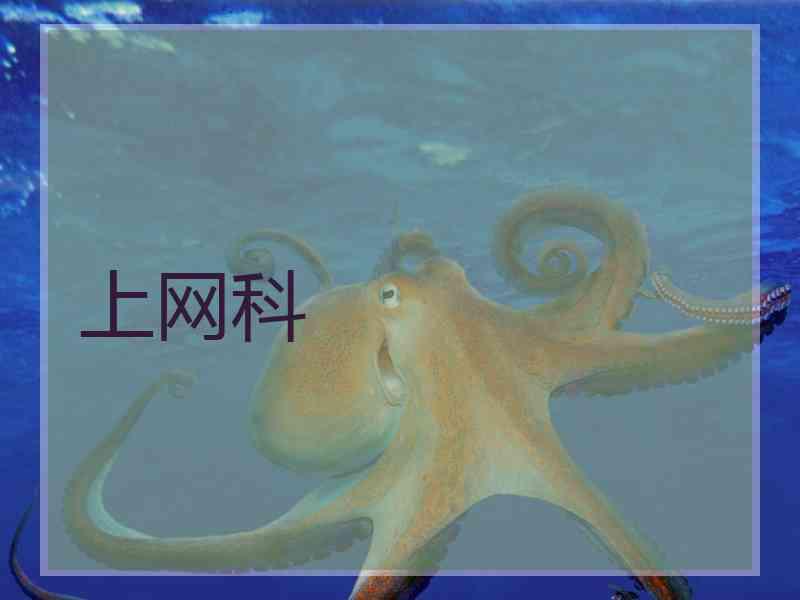 上网科
