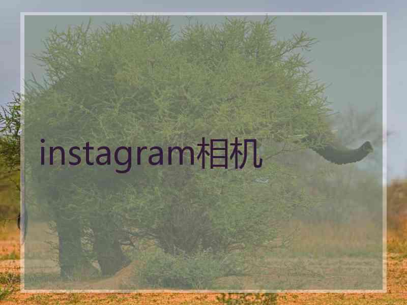instagram相机