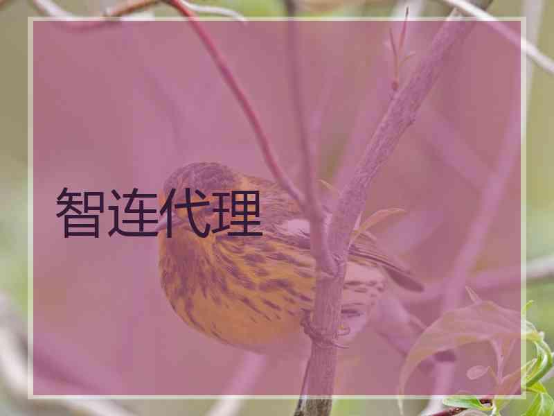 智连代理