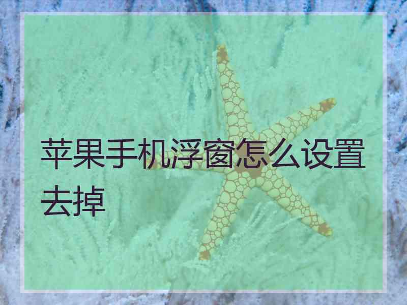 苹果手机浮窗怎么设置去掉