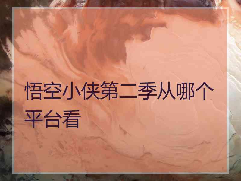 悟空小侠第二季从哪个平台看