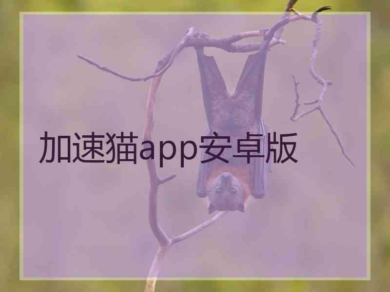 加速猫app安卓版