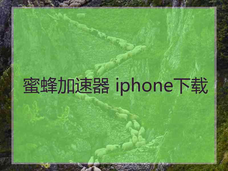蜜蜂加速器 iphone下载