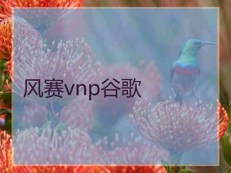 风赛vnp谷歌