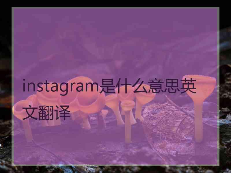 instagram是什么意思英文翻译