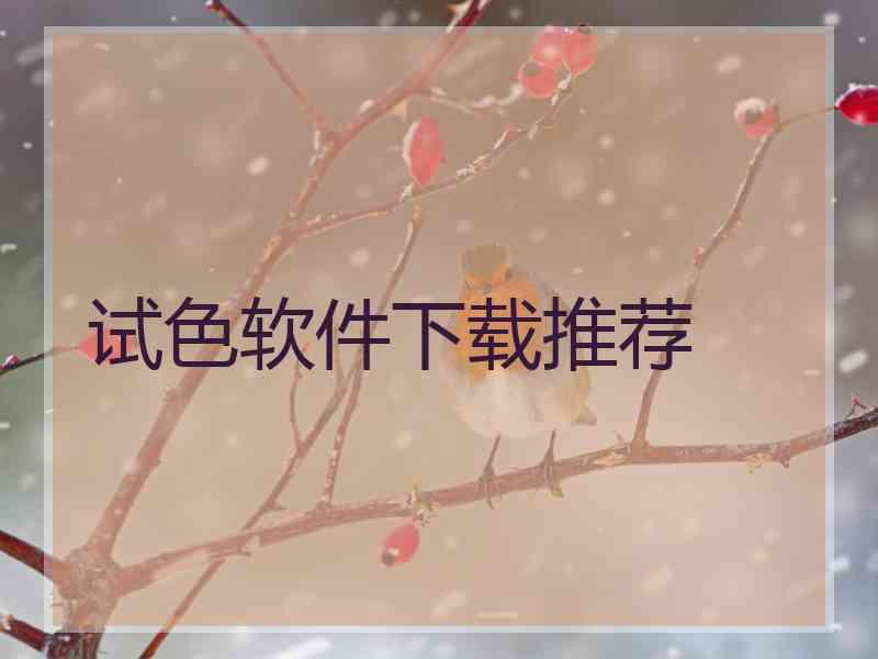试色软件下载推荐