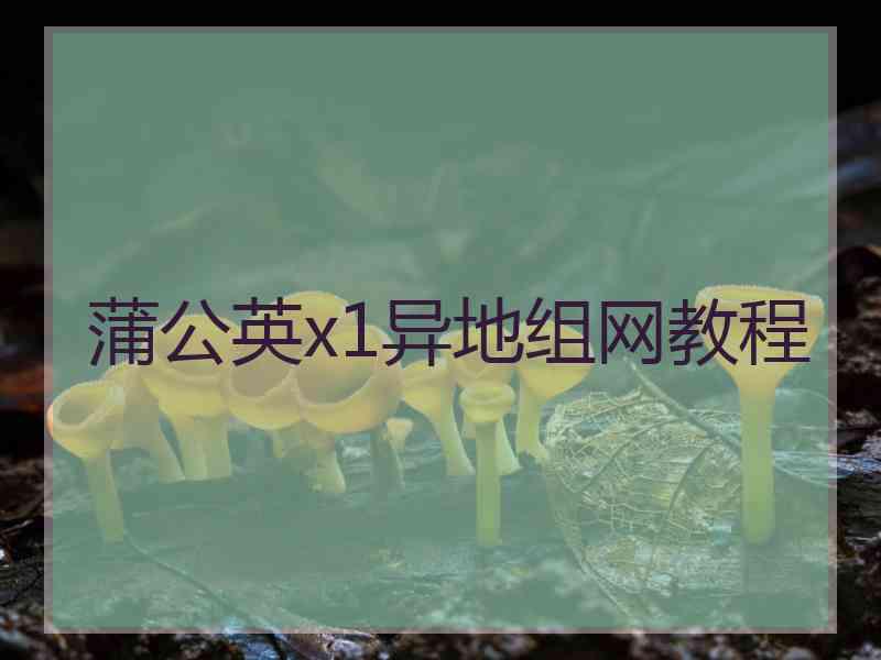 蒲公英x1异地组网教程