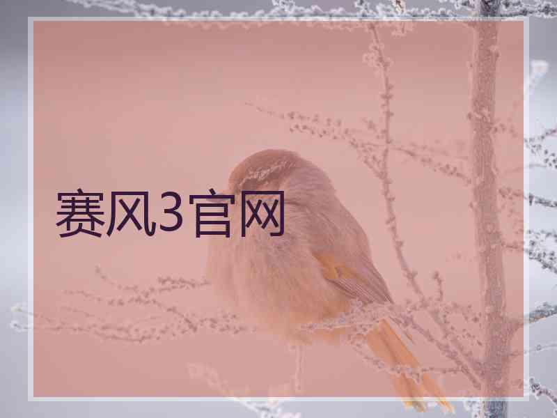 赛风3官网