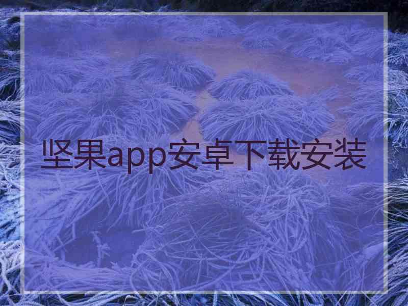坚果app安卓下载安装