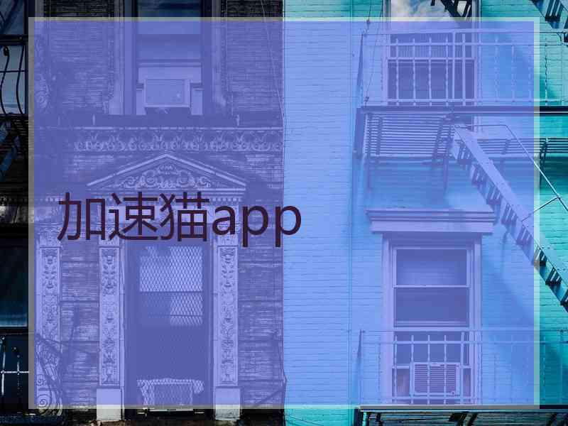 加速猫app