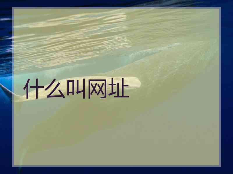 什么叫网址