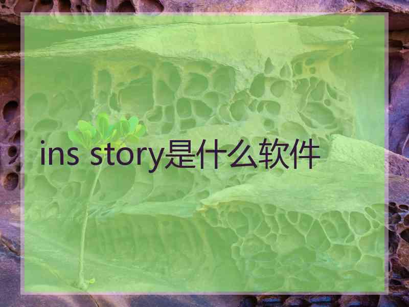 ins story是什么软件