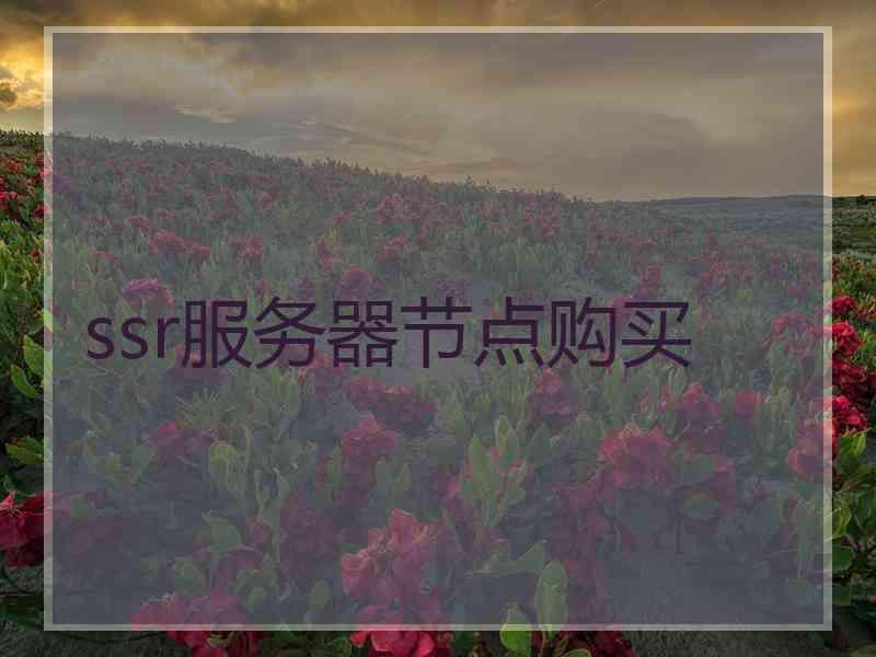 ssr服务器节点购买