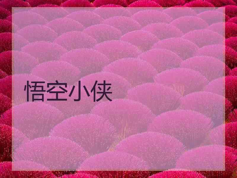 悟空小侠