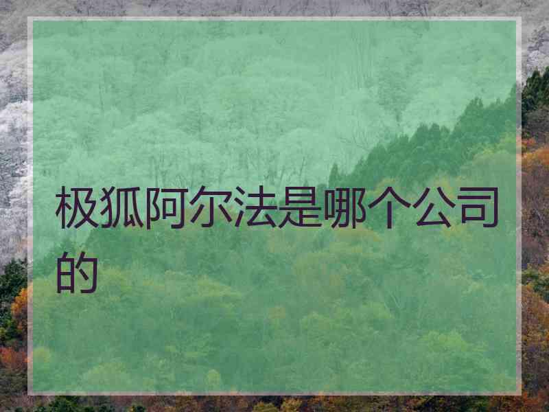 极狐阿尔法是哪个公司的