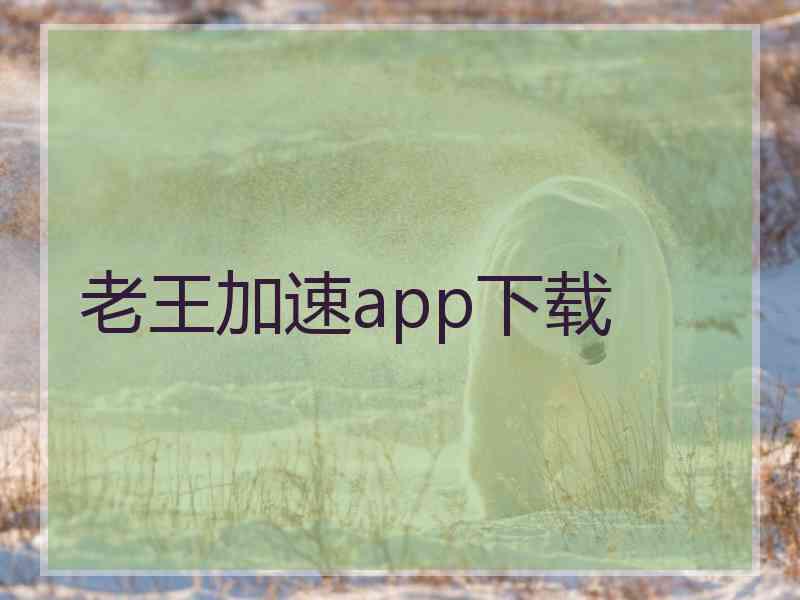老王加速app下载