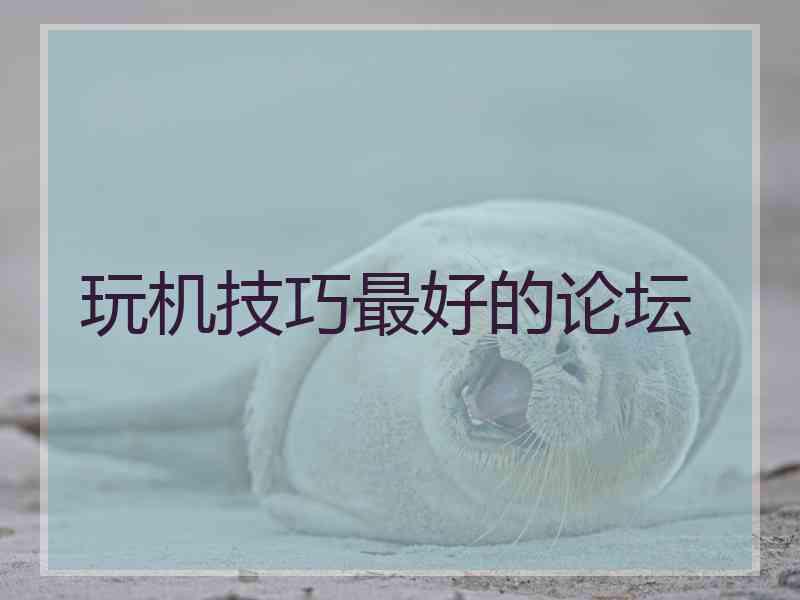 玩机技巧最好的论坛