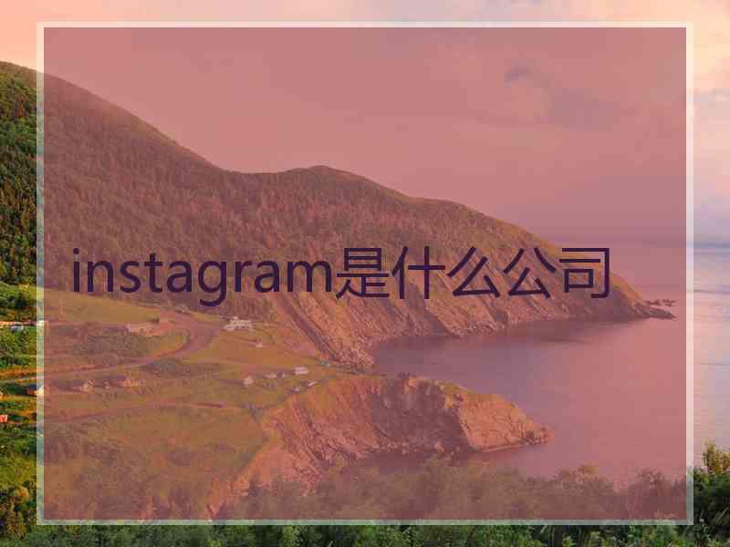 instagram是什么公司