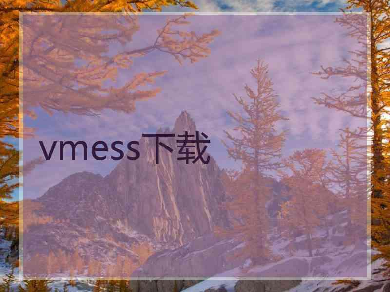 vmess下载