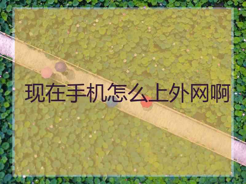 现在手机怎么上外网啊