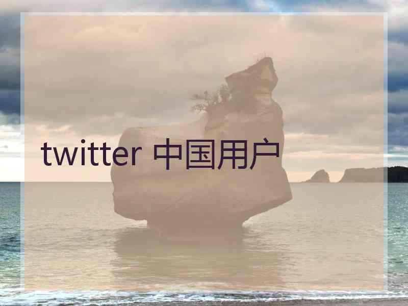 twitter 中国用户