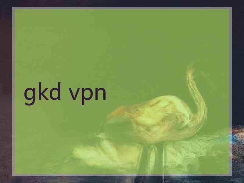 gkd vpn