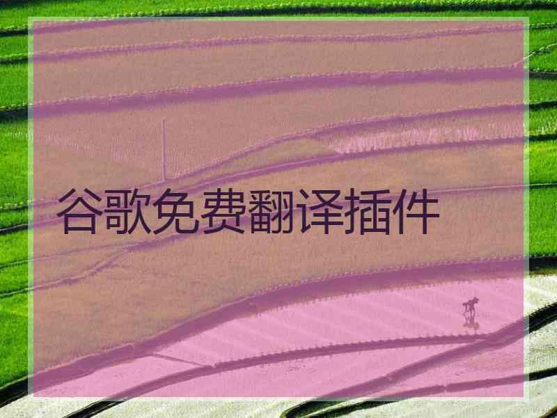 谷歌免费翻译插件