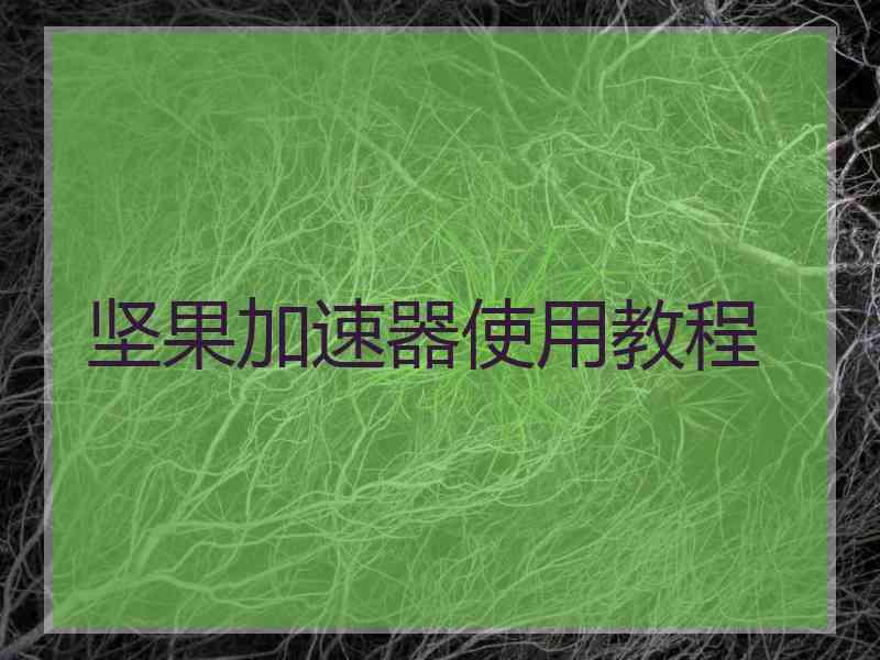坚果加速器使用教程