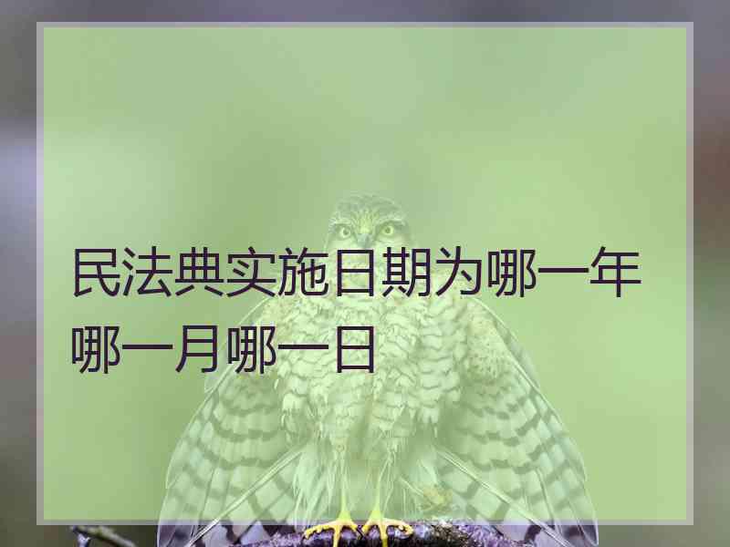 民法典实施日期为哪一年哪一月哪一日