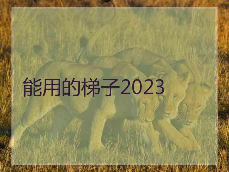 能用的梯子2023