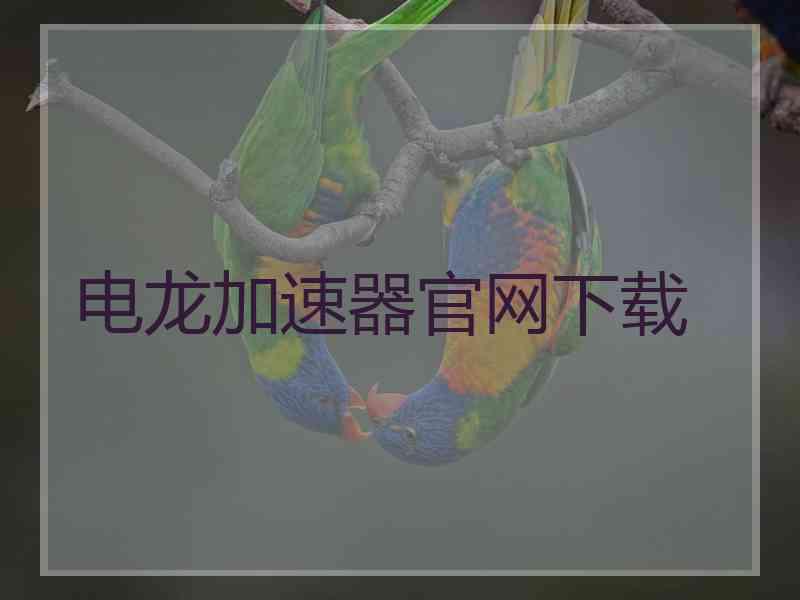 电龙加速器官网下载