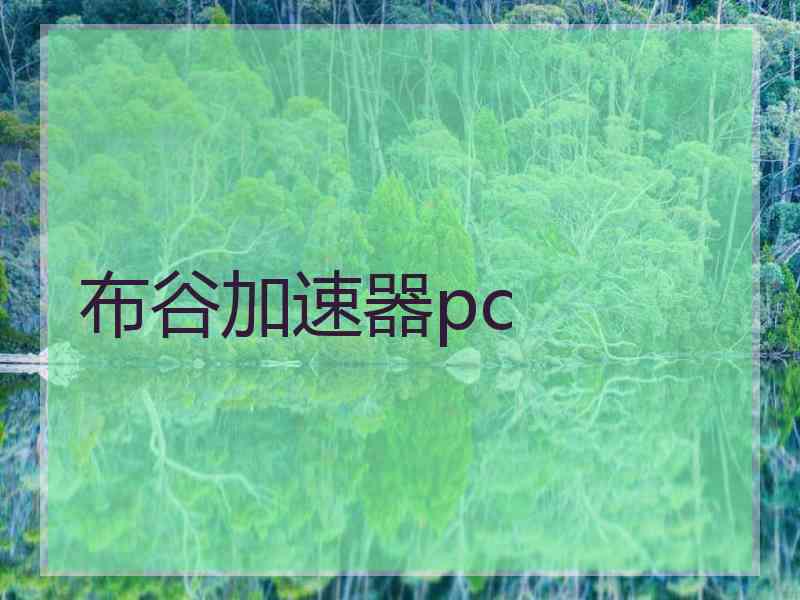 布谷加速器pc