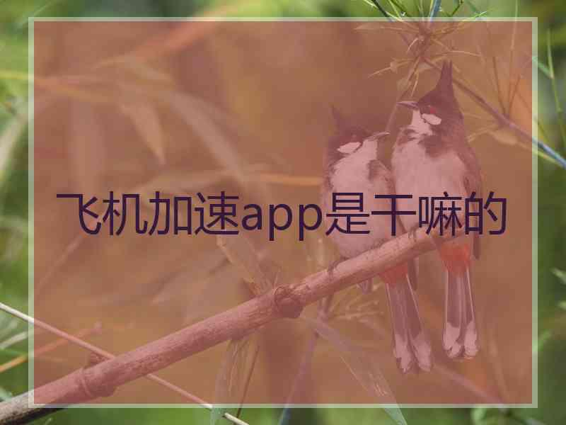 飞机加速app是干嘛的