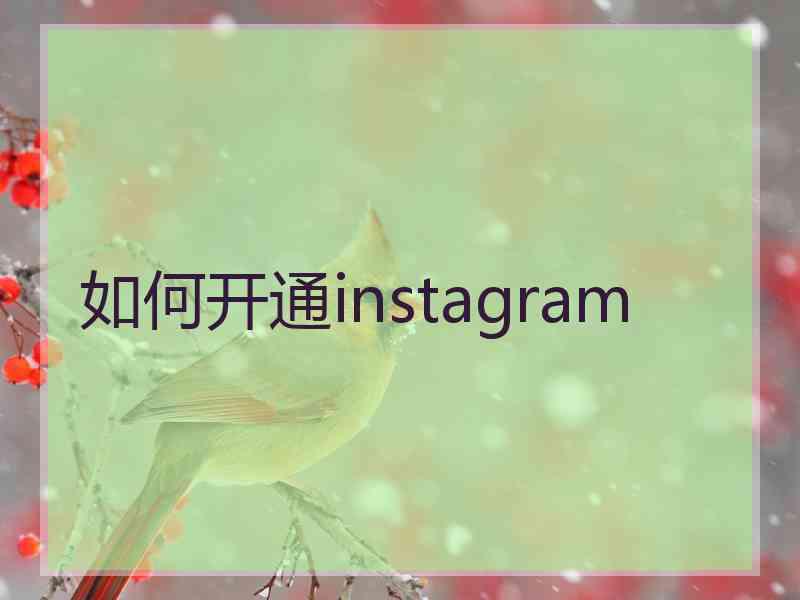 如何开通instagram