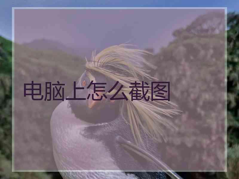 电脑上怎么截图