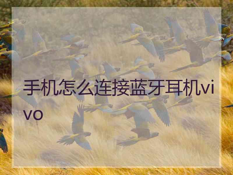手机怎么连接蓝牙耳机vivo
