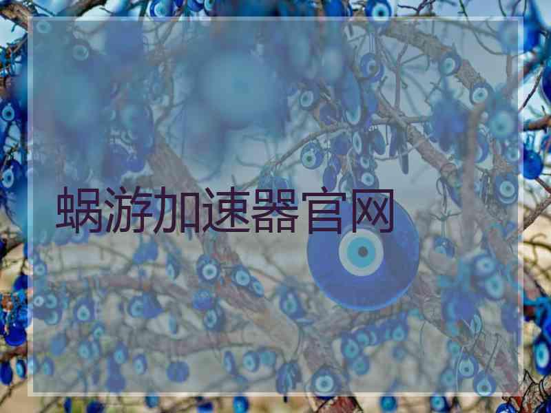 蜗游加速器官网