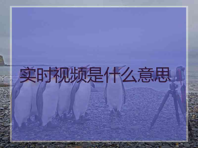实时视频是什么意思