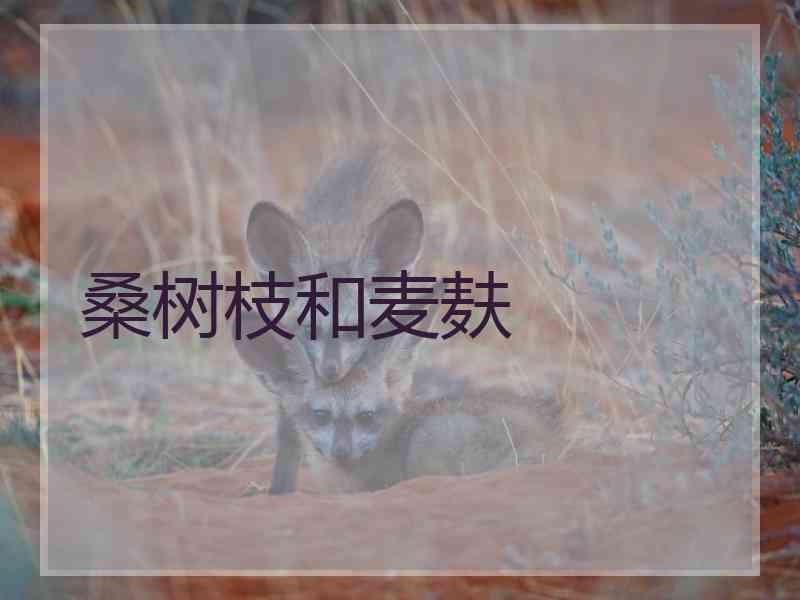 桑树枝和麦麸
