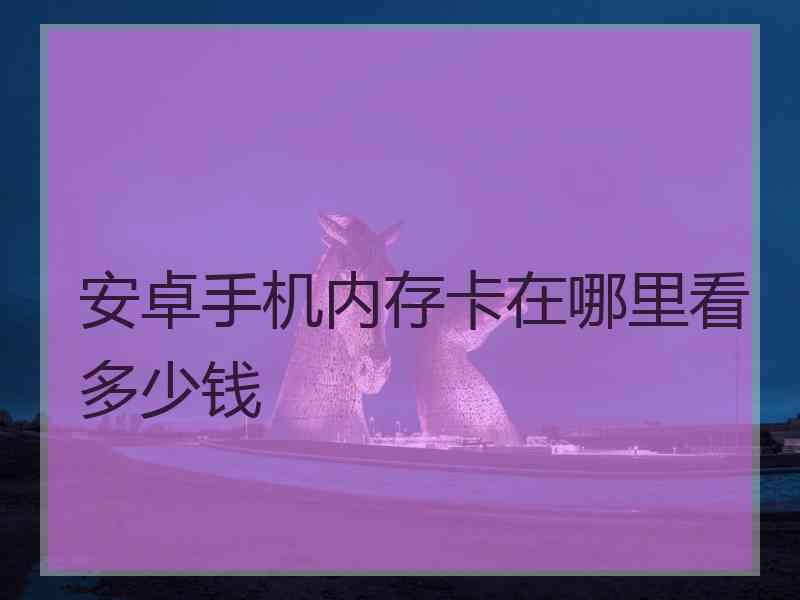 安卓手机内存卡在哪里看多少钱