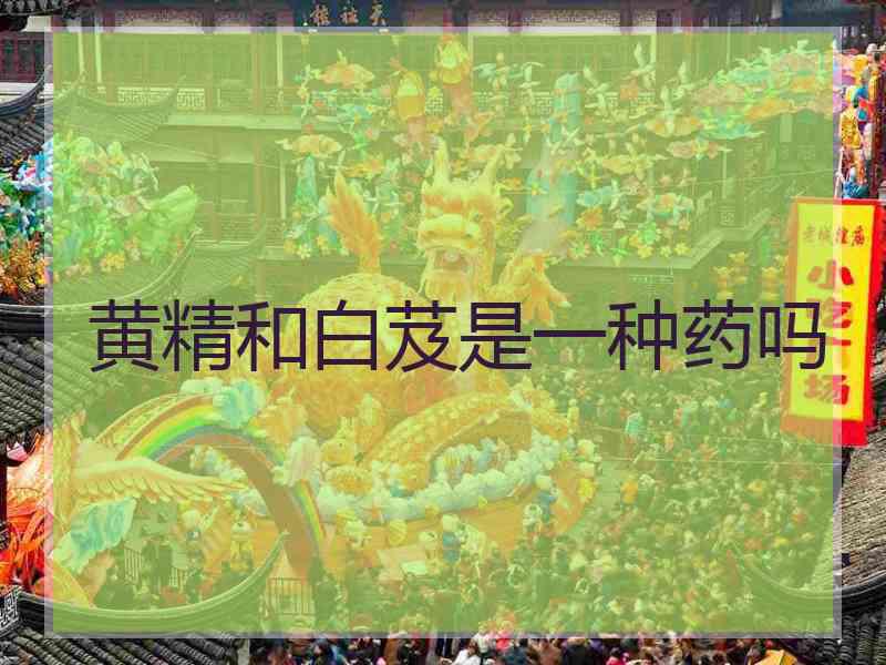 黄精和白芨是一种药吗