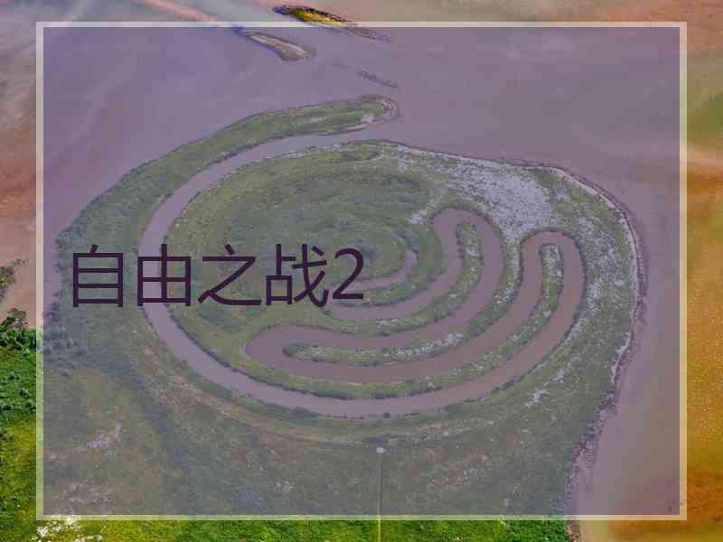 自由之战2