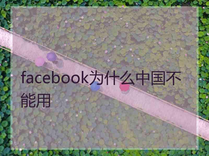 facebook为什么中国不能用
